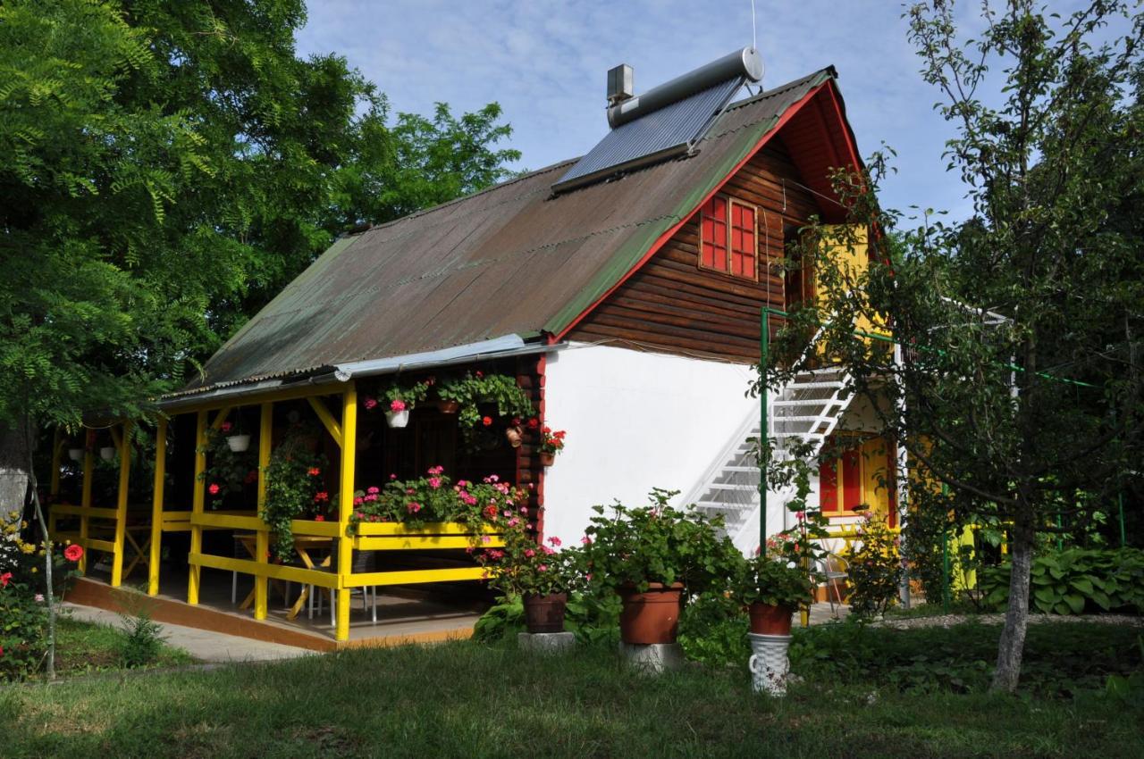 Pensiunea Rustic Eforie Sud  Buitenkant foto